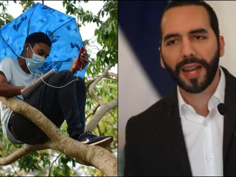Nayib Bukele reacciona ante caso de joven que escalaba un arbol para estudiar