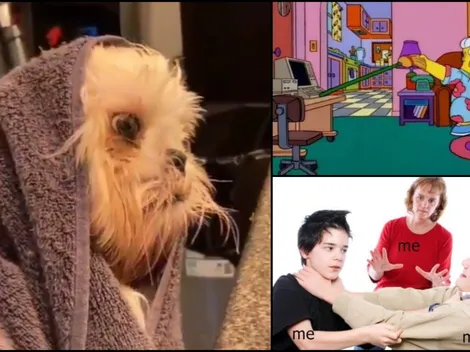 Coronavirus: 10 memes virales que te harán reír en tu cuarentena