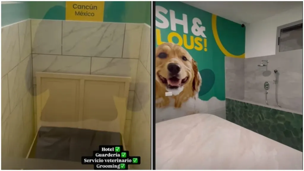 Así es el nuevo hotel para perros de Francisco Calvo.