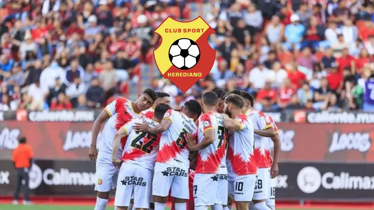 El Team se refuerza de cara a una nueva temporada.