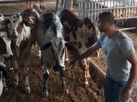 Fue mundialista y campeón con Saprissa y la La Liga, pero se hizo ganadero y agricultor