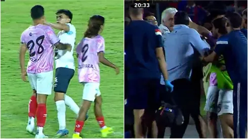 Saltaron chispas en el duelo de tigrillos y paquidermos