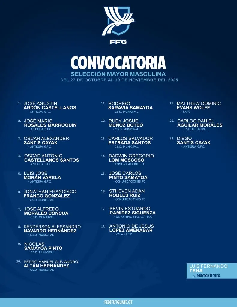 Los convocados por Tena para el último microciclo.