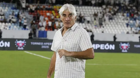 Los paquidermos no tardan en decidir