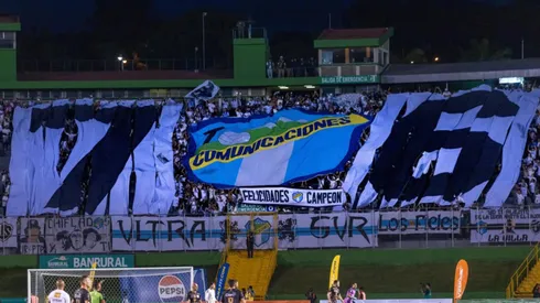 Novedades en el campamento crema
