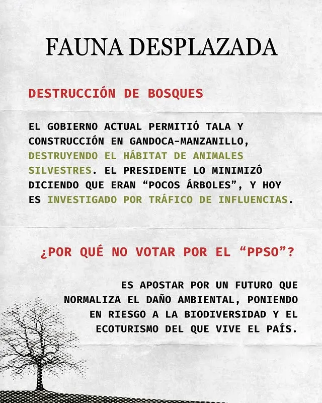 Parte de la publicación que compartió Daniel Chacón (Faunatica.CR).