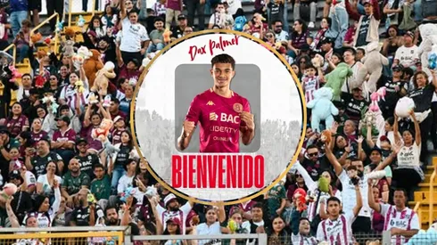 Dax Palmer tiene nuevo club en Europa.