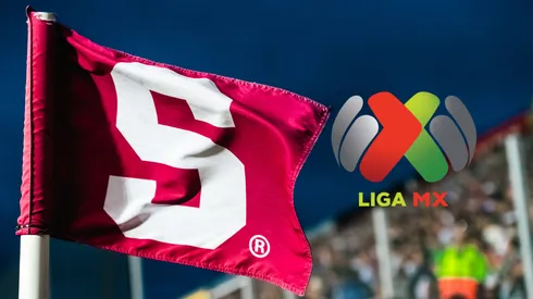 Las Moradas tienen una nueva jugadora.
