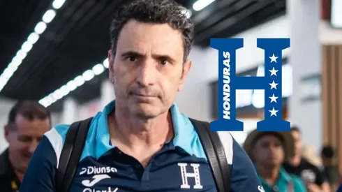 La FFH lo anunciará pronto.