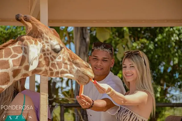 Creichel Pérez y su novia, Alondra Valverde (Instagram).