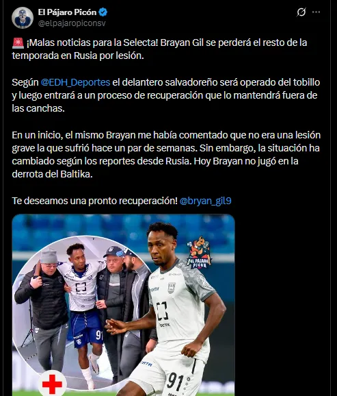 Publicación de ElPájaroPicón en X