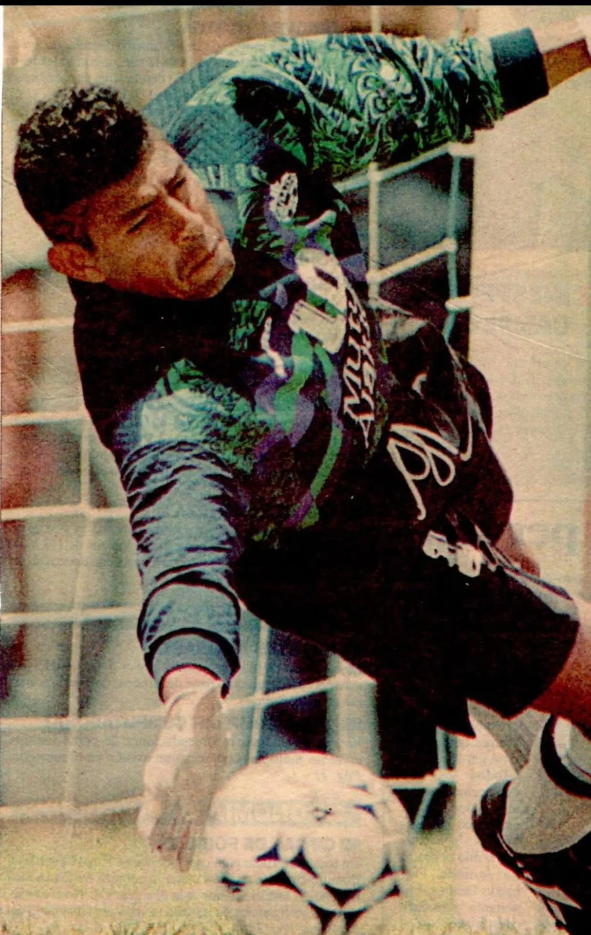 José Alexis Rojas