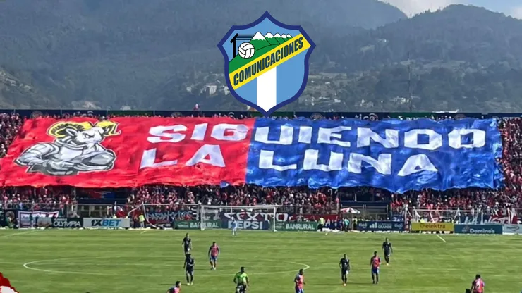 Los chivos están motivados