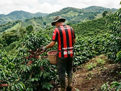 De campeón con Alajuelense a productor de café